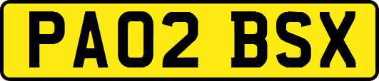 PA02BSX