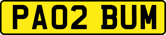 PA02BUM