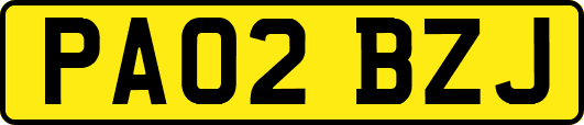 PA02BZJ