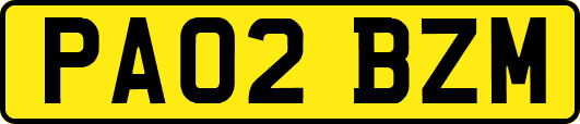 PA02BZM