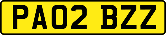 PA02BZZ