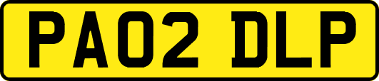 PA02DLP