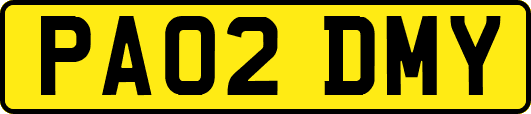 PA02DMY