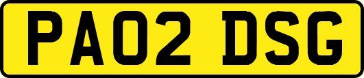 PA02DSG