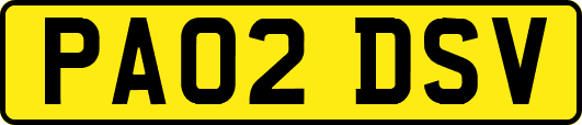 PA02DSV