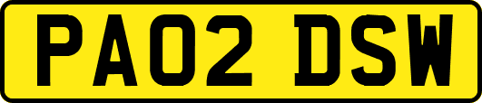 PA02DSW