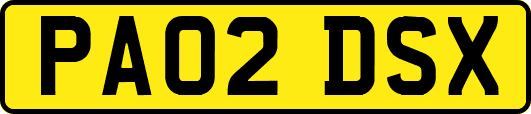 PA02DSX