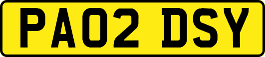 PA02DSY