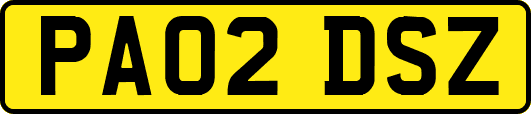 PA02DSZ