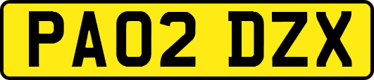 PA02DZX