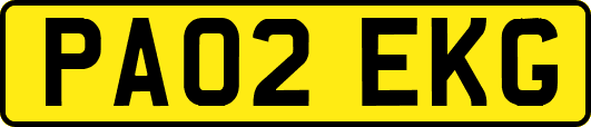 PA02EKG