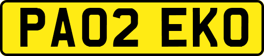 PA02EKO