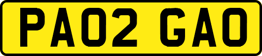 PA02GAO