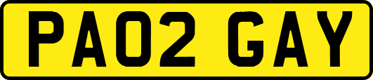 PA02GAY