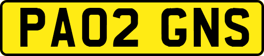 PA02GNS