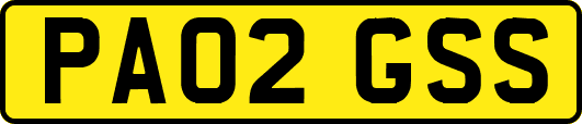 PA02GSS