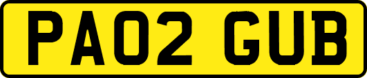 PA02GUB