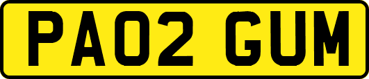 PA02GUM