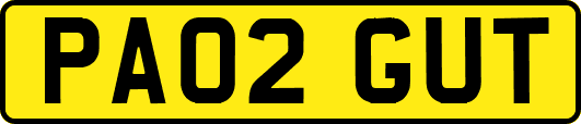 PA02GUT