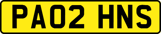 PA02HNS