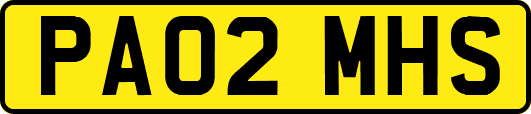 PA02MHS