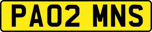 PA02MNS