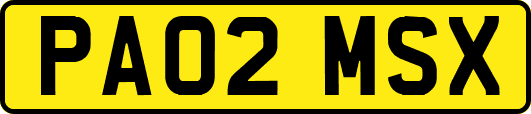 PA02MSX