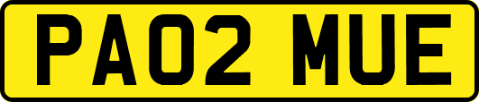 PA02MUE