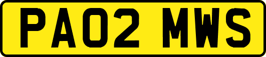 PA02MWS