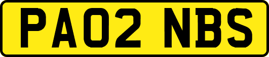 PA02NBS