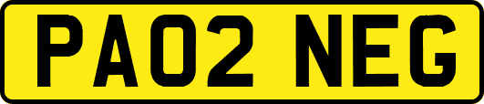 PA02NEG