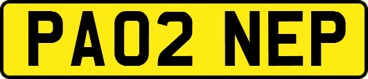PA02NEP
