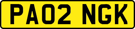 PA02NGK