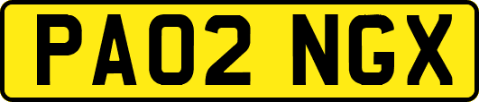 PA02NGX
