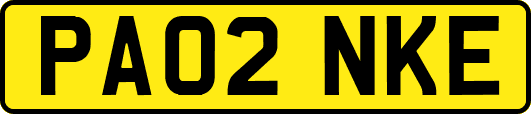 PA02NKE