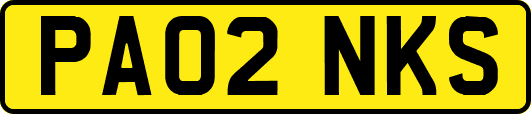 PA02NKS