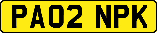 PA02NPK