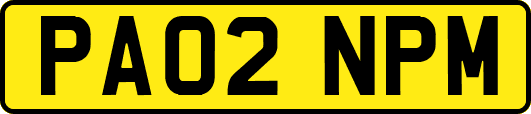 PA02NPM