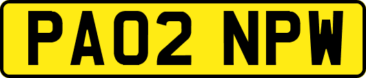 PA02NPW