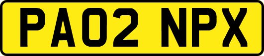 PA02NPX