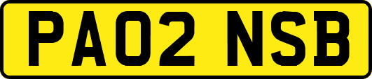 PA02NSB