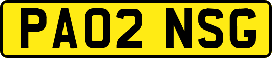PA02NSG