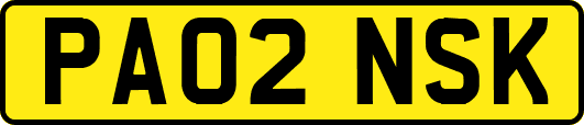 PA02NSK
