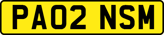 PA02NSM