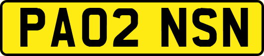 PA02NSN