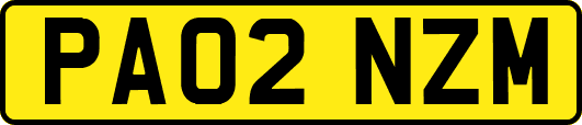 PA02NZM