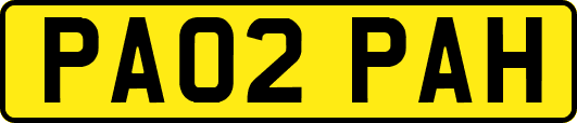 PA02PAH