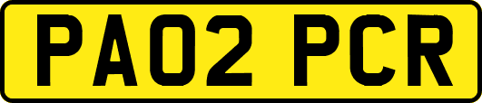 PA02PCR
