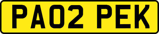 PA02PEK