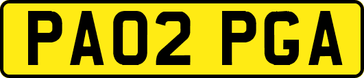 PA02PGA